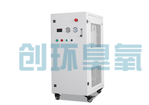 九龙坡石斑鱼养殖水质调控完整指南：臭氧发生器配置与操作步骤