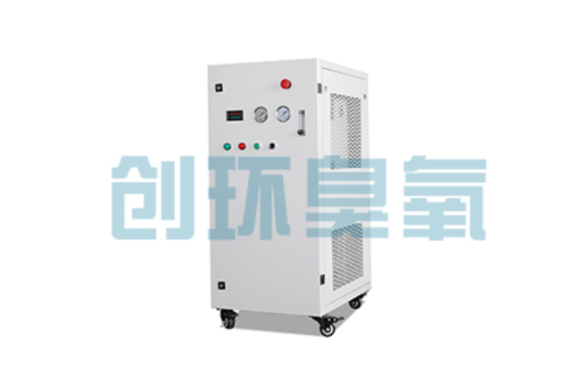 九龙坡比传统换水更高效？臭氧发生器在石斑鱼养殖中的水质净化原理解析